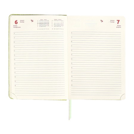 Dated diary of 2025, A5, 168 sheets, DEVENTE. Barbara, a solid cover of leatherette with foam, perforation, liesse, block 70, green-14