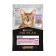Wet food PRO PLAN DELICATE for cats, a turkey in sauce, spider, 85 g