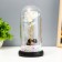 Nightlight "Romance" LED from batteries 3haaa 11x11x21.5 cm Risalux