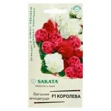 Bogony flowers 