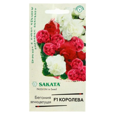 Bogony flowers "Queen", F1, forever flowering, terry, mixture, granules, 4 pcs