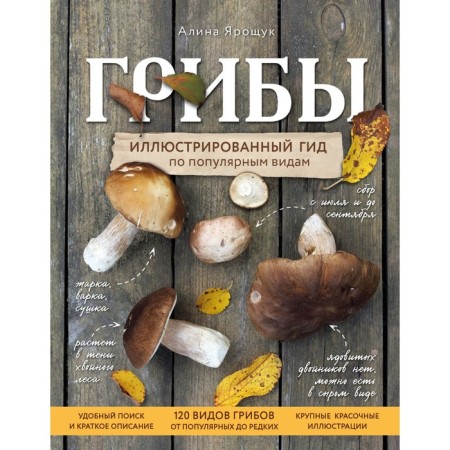 Mushrooms. Illustrated guide by popular species. Yaroshchuk A.I.