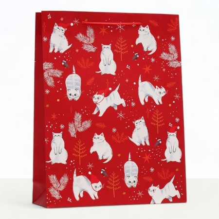 Gift package "Vacations", 33 x 42.5 x 10 cm-2