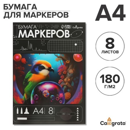 A4, 8 sheets, 180 g/m², in the folder