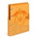 A notebook on rings A5 120 sheets in the Lorex "Neon. Orange" cage, with a change of block, a plastic cover, with stickers
