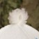 Snow Maiden Hat and Sauna, White