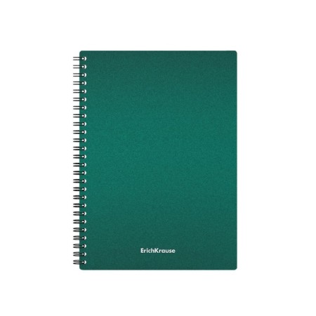 Notebook A5, 80 sheets in a cage on the crest Erichkrause "Ice Metallic", a plastic cover on an elastic band, an offset unit, white 100%, mix-6