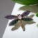 Brooch "Dragonfly", colored in black silver