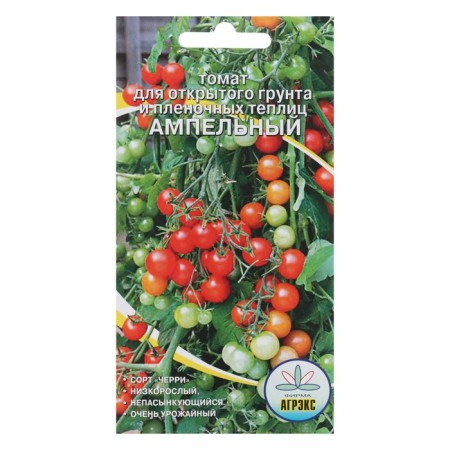 Ampelus tomato seeds, 20 pcs