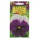 Viola flowers "Lord Bikonxfield", Wittroka, DV, 0.05 g
