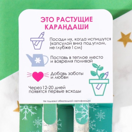 Growing gift pencils mini "blue spruce + pine" set 2 pcs.-2