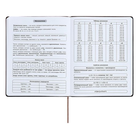 Universal diary for grades 1-11 "Geometry", solid cover of artificial leather, silkography, lies, 48 ​​sheets, brown-turquoise-7