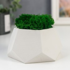 Kashpo concrete 