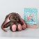 Soft toy "Bunny Li", with a book, girl
