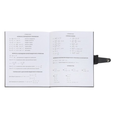 Universal diary for grades 1-11 Favorite, integrated artificial leather cover on the button, embossing foil, liesse, 48 sheets-14