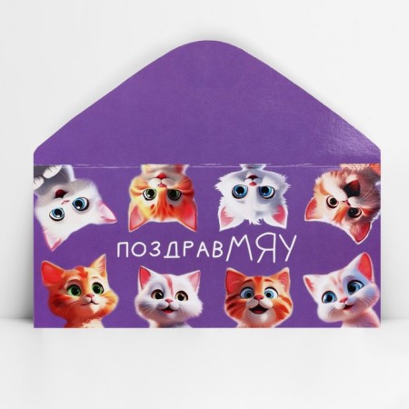 The envelope for money "Feature", 16.5 x 8 cm-3