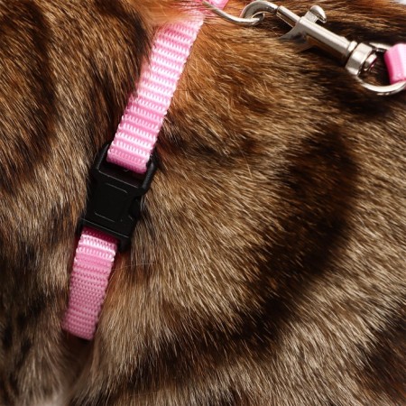 Kit for cats, width 1 cm, Osh 16.5-27 cm, fire 21-35 cm, leash 120 cm, pink-9