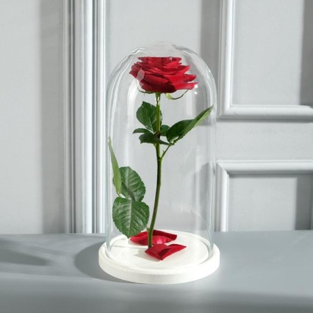 Glass dome -slosh on a wooden stand "Vincent - 1", 30x15 cm, white-1