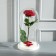 Glass dome -slosh on a wooden stand "Vincent - 1", 30x15 cm, white