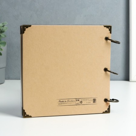 Photo album on rings 30 sheets "Girl with a camera" Black sheets 18.5x18.5 cm-1