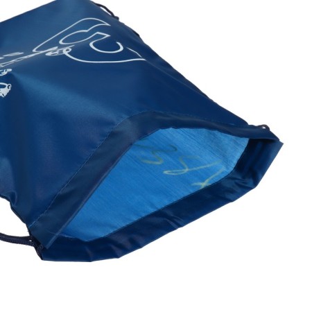 A bag for shoes 420 x 340 mm, calligrata Sport 3, (soft polyester, density 210d), blue mix-3