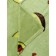 Texrepublic blanket, size 150x200 cm, green color