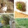 Hay feeder, 25 cm, vertical, metal