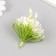 Artificial plant for creativity "Vyzhel" set of 5 pcs 9x6x6 cm