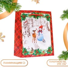 Gift package 