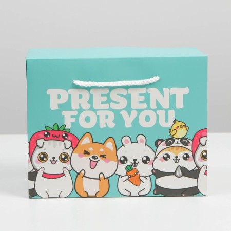 Package - gift, gift packaging, "Present", 23 x 18 x 11 cm-1