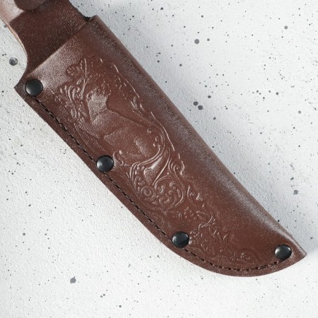 A knife cover, under a blade 14 cm, skin-1