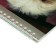 Notepad A5, 40 sheets on the crest "Dog", cover laminated cardboard, block 55 g/m2, mix