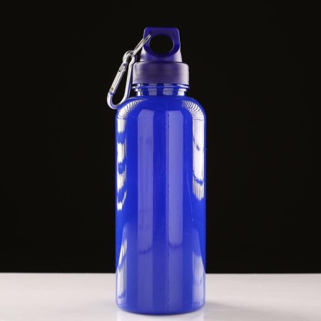 Water bottle, 650 ml, with carbine, 22 x 7 cm, blue