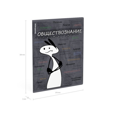 Subject notebook, 48 sheets, cage, social studies Erichkrause "Chubrik", plastic cover silk-screen cover, Blok OFSET 100%, information block-6