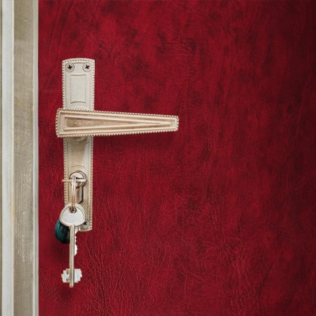 A set of doors upholstery 110 × 205 cm: claim. Kozh, Vatin 5 mm, nails, string, burgundy, “Vatin”