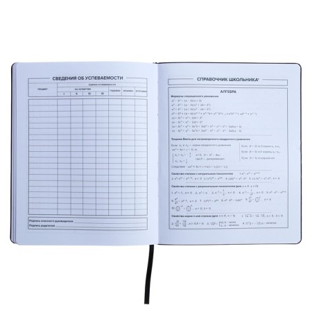 Universal Diary Grade 1-11, 48 sheets "graffitist", covering of artificial leather, liesa, offset block-7