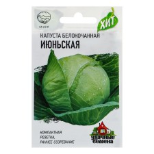 White cabbage seeds 