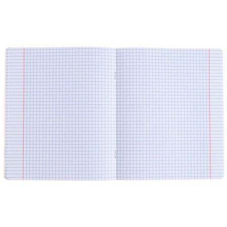 Subject notebook, 48 sheets, cage, English, Erichkrause "BENFORMED", plastic cover silk-screen cover, Bloc Offset 100%, info block-4