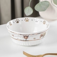 Porcelain Salenik 