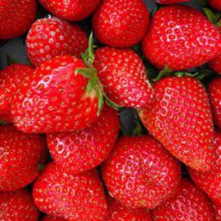 Frigo Sandra Strawberry seedling (Sandra) a (9-15 mm), 5 pcs