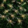 Garland “thread” 4.5 m with nozzles “dragonflies”, dark thread, 30 LED, glow warm white, 2 modes, solar battery