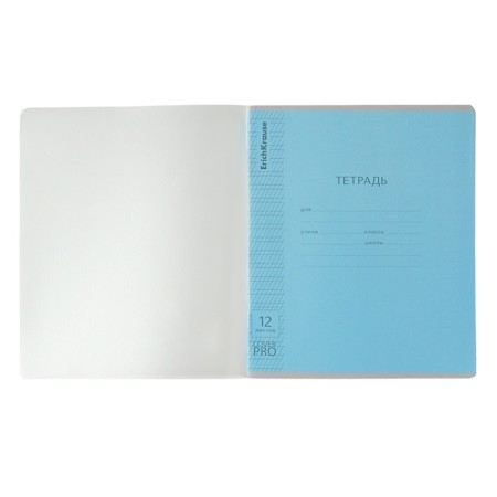 Notebook 12 sheets frequent oblique in the Erichkrause line "Coverpro classics", with a plastic cover, 5v, mix-3