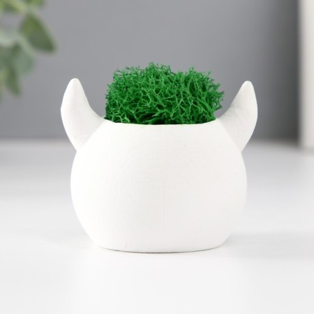 Kashpo concrete "devil" 6.5x6x5.5 cm white with moss (moss green. Stabilizir)-3