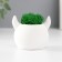 Kashpo concrete "devil" 6.5x6x5.5 cm white with moss (moss green. Stabilizir)