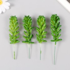 Artificial succulent for creating Florarium 