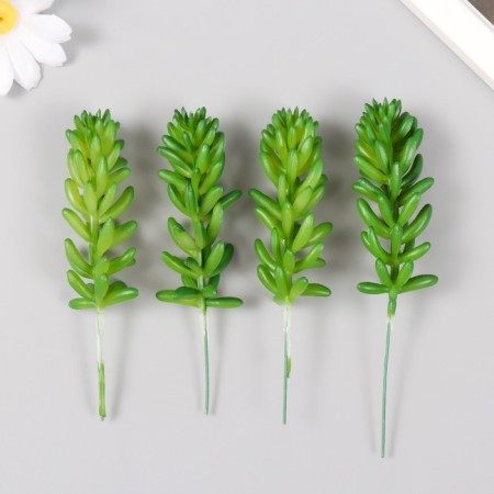 Artificial succulent for creating Florarium "Cleaning Morgan" set 4 pcs 6x11 cm