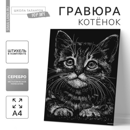 Engraving "kitten" with a metallic effect "silver" A4