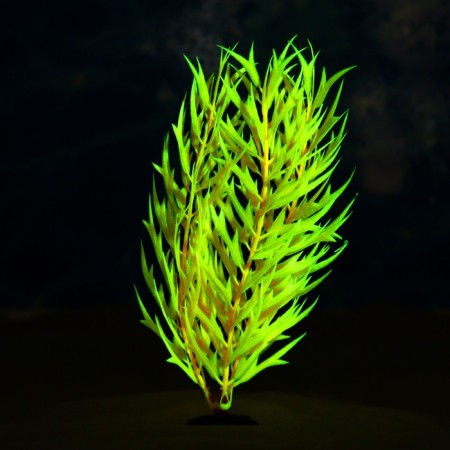 The artificial aquarium, luminous, 20 cm, red plant-4