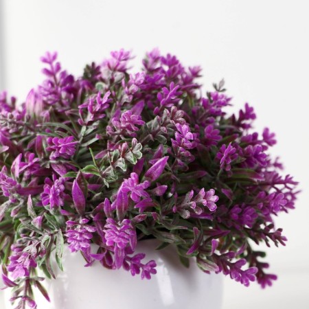 Bonsai in the “Lavender decorative” pot 8x10 cm, mix-1