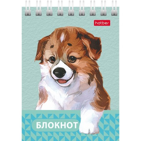 Notepad A7, 40 sheets on the crest "Eyes, ears, nose", covered cardboard cover, OFSET BOLOK 65g/m2-6